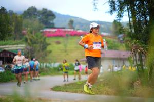 BIB: 
                            <button type="button" onclick="openModal(19196880)" class="btn btn-primary btn-sm float-right btn-popup" data-toggle="modal" data-target=".modal-high-quality">
                        <i class="fas fa-shopping-cart"></i> Add to Cart
                    </button>
                                            <button type="button" onclick="isThisMe(19196880, true)" class="btn btn-success btn-sm float-right btn-popup btn-isme hidden" data-toggle="tooltip" data-placement="bottom" title="นี่คือรูปของคุณใช่ไหม คลิกที่นี่เพื่อเอาเข้าอัลบั้ม">
                        <i class="fas fa-plus"></i> Add to album
                    </button>
                    <button type="button" onclick="isThisMe(19196880, false)" class="btn btn-warning btn-sm float-right btn-popup btn-isnotme hidden">
                        <i class="fas fa-ban"></i> Remove from album
                    </button>